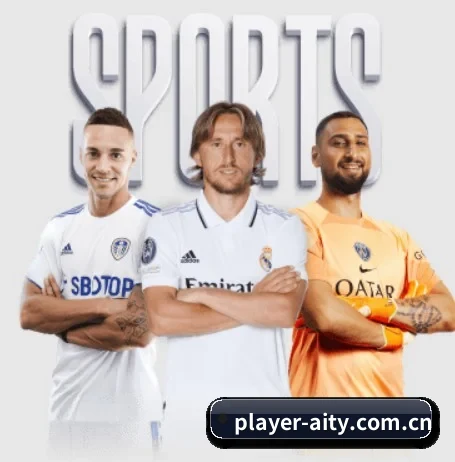 player-aity.com.cn的方向 - 长期内容价值积累